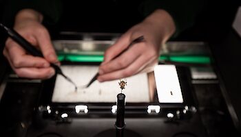 Picturae vervolgt internationale groei en verkoopt digitaliseringsactiviteiten aan Phasalento (GMS)